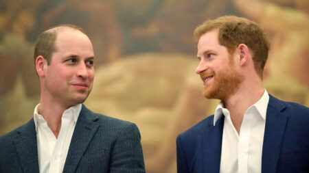 Prince William's message to Prince Harry