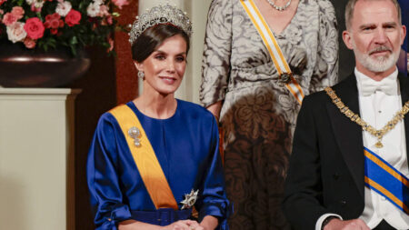 Queen Letizia at the state dinner in the Netherlands