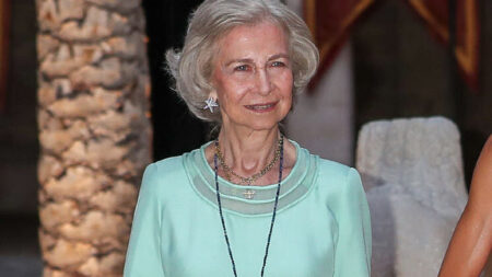 Queen Sofia back to work