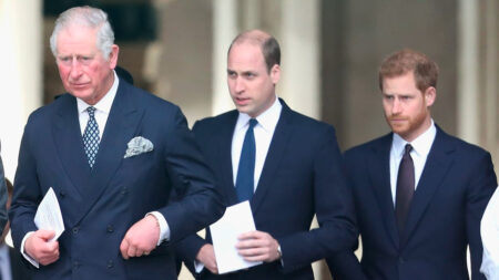 Prince Harry Family Rift