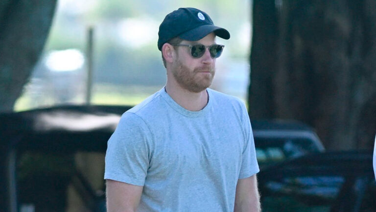 Prince Harry under the spotlight of animal rights advocates Prince Harry's polo documentary