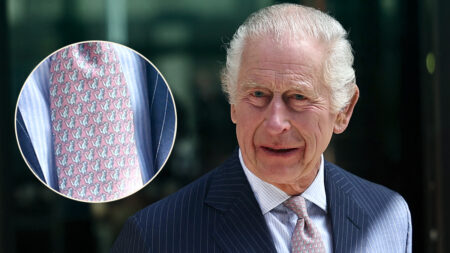 What is the story behind King Charles' dinosaur tie?