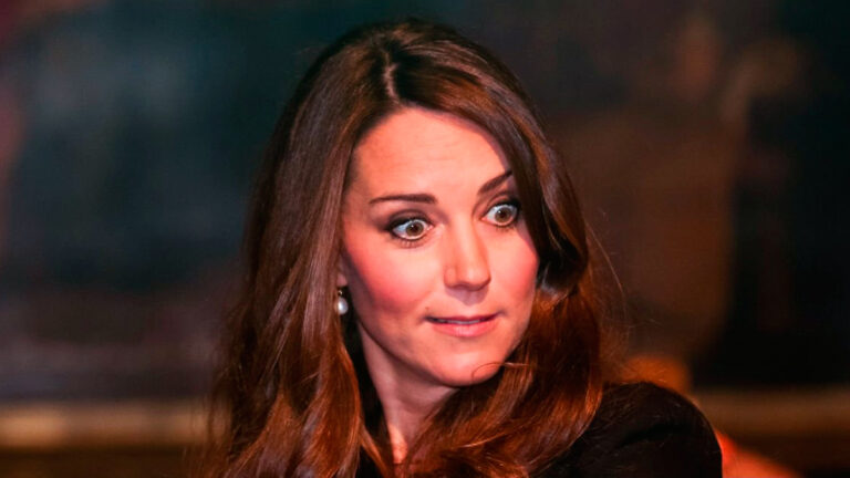 Princess Kate’s New Portrait Faces Backlash from Royal Fans New Portrait of Kate Middleton