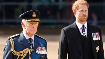 Prince Harry's meeting with King Charles