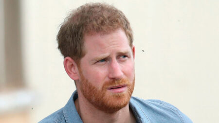 Arthur Edwards Criticizes Prince Harry