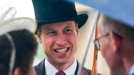 Prince William at the garden party