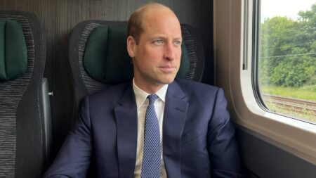 Prince William's scar