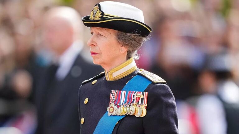 How is Princess Anne’s health and when will she return to royal duties? Princess Anne's Health