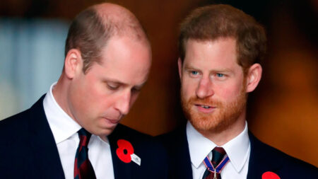 Prince Harry's Inheritance