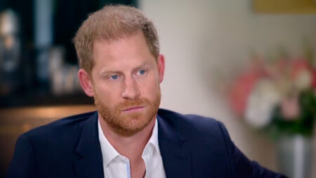 Prince Harry Interview