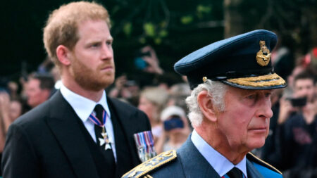 King Charles' Financial Support for Prince Harry