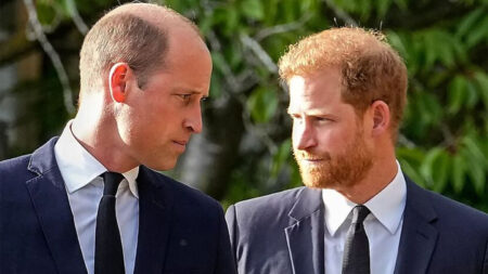 Who was Robert Fellowes, uncle of William and Harry