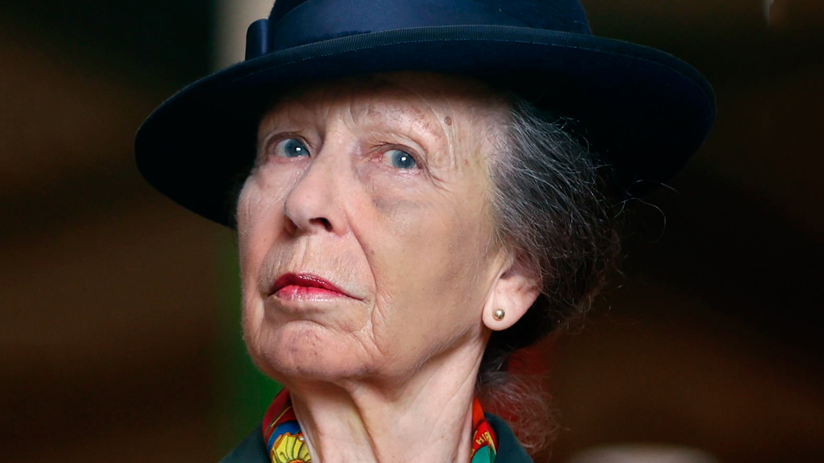 Princess Anne in Gloucester After Horse Riding Accident