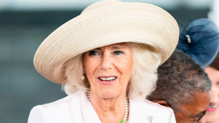 Queen Camilla Wears Accessory Linked to Princess Diana Queen Camilla's Handbag