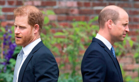 Why Prince William Sees Prince Harry as Untrustworthy? Prince Harry and Prince William