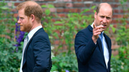 Harry and William’s Rift