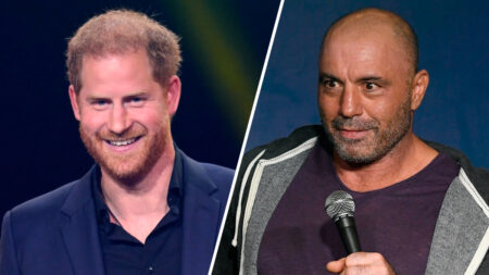 What Did Joe Rogan Say About Prince Harry?