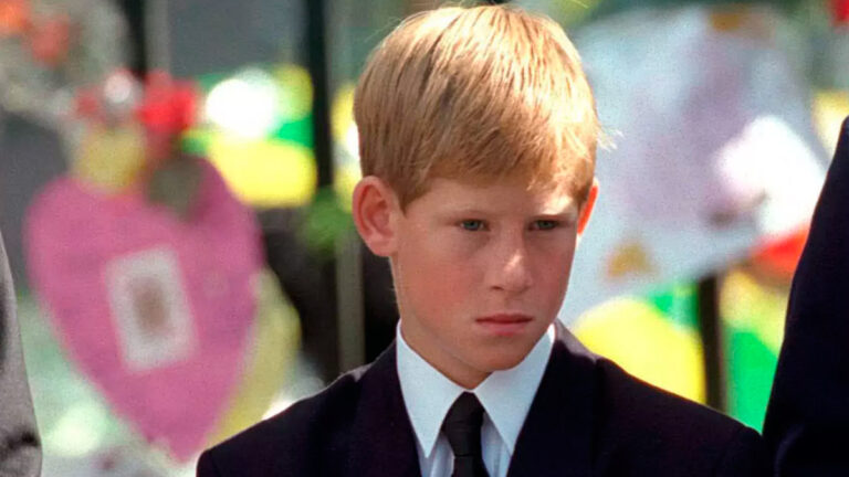 Prince Harry’s Painful Question About Princess Diana’s Death Prince Harry at Princess Diana's Funeral