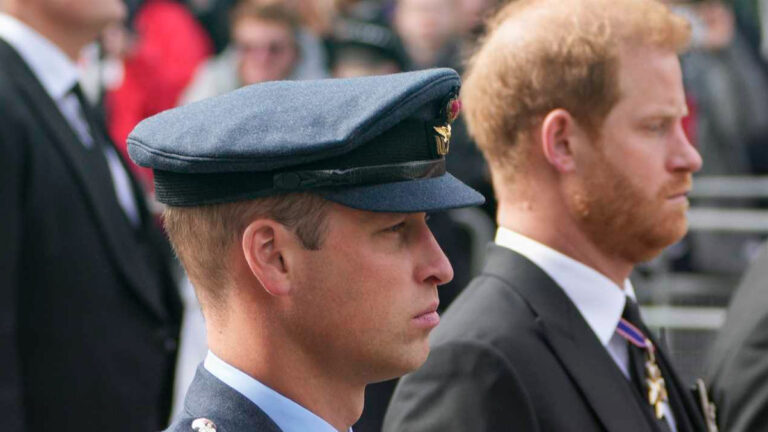 Is There a Chance Prince William and Prince Harry Will Meet in New York? Prince William and Prince Harry in New York