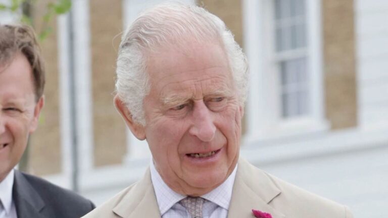 Concern for King Carlos III: cancels an important event in the midst of a fight against cancer King Charles at COP29 Climate Conference.