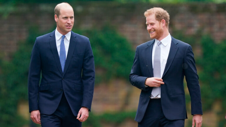 Prince William’s Unexpected Gesture to His Brother Harry After Six Years Apart Prince William's Confession