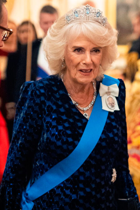 Queen Camilla in a Blue Dress by Fiona Clare