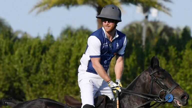Prince Harry Criticized After New Polo Documentary Trailer Release: What Happened? Prince Harry's documentary about polo