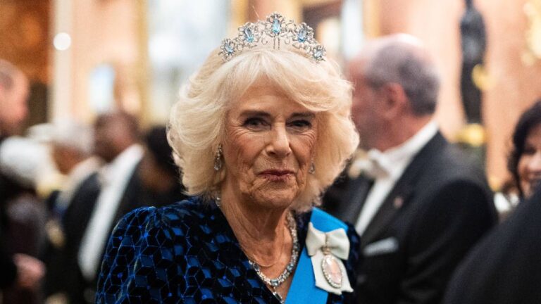 What is the story behind Queen Camilla’s spectacular tiara at the Buckingham Palace reception? Queen Camilla at the Diplomats' Reception