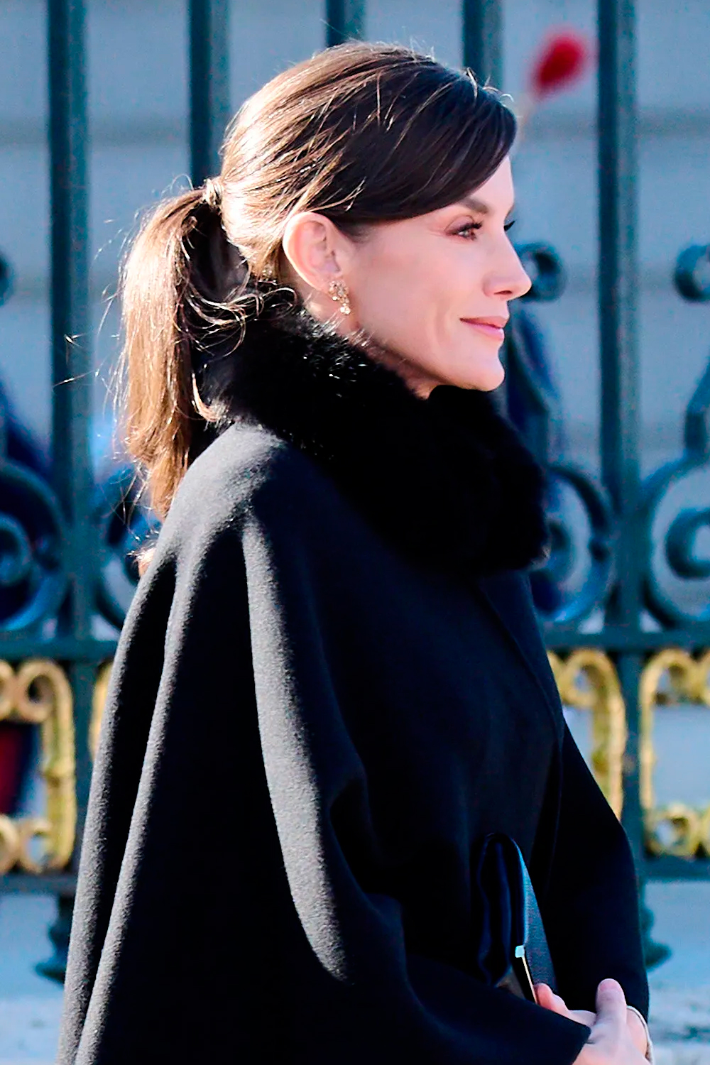 Queen Letizia Hairstyles 