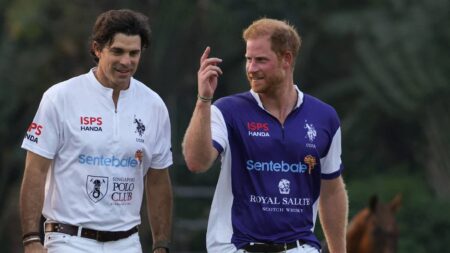 Prince Harry's Documentary polo