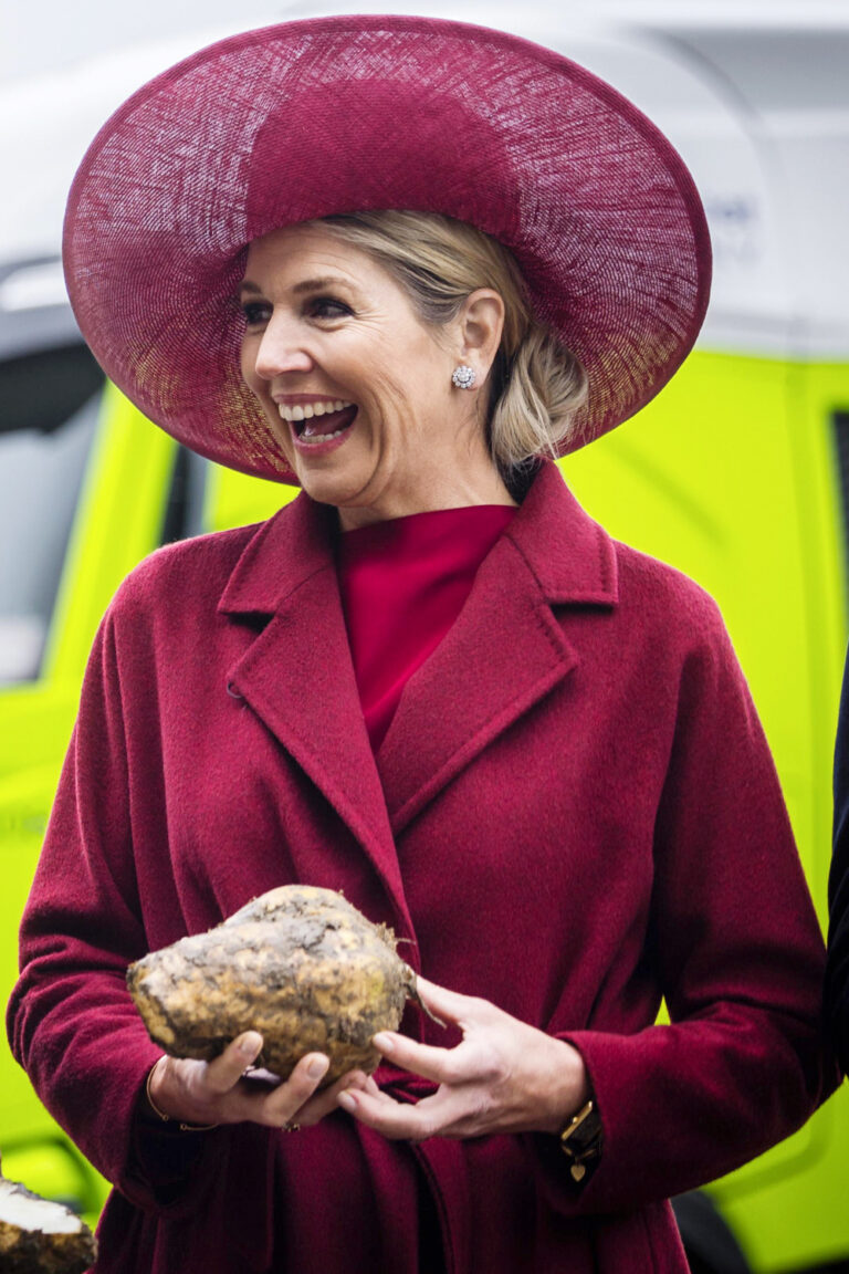 Queen Maxima Wears Max Mara Coat and Natan Couture Outfit During Her Visit to Royal Cosun Queen Maxima's Ensemble