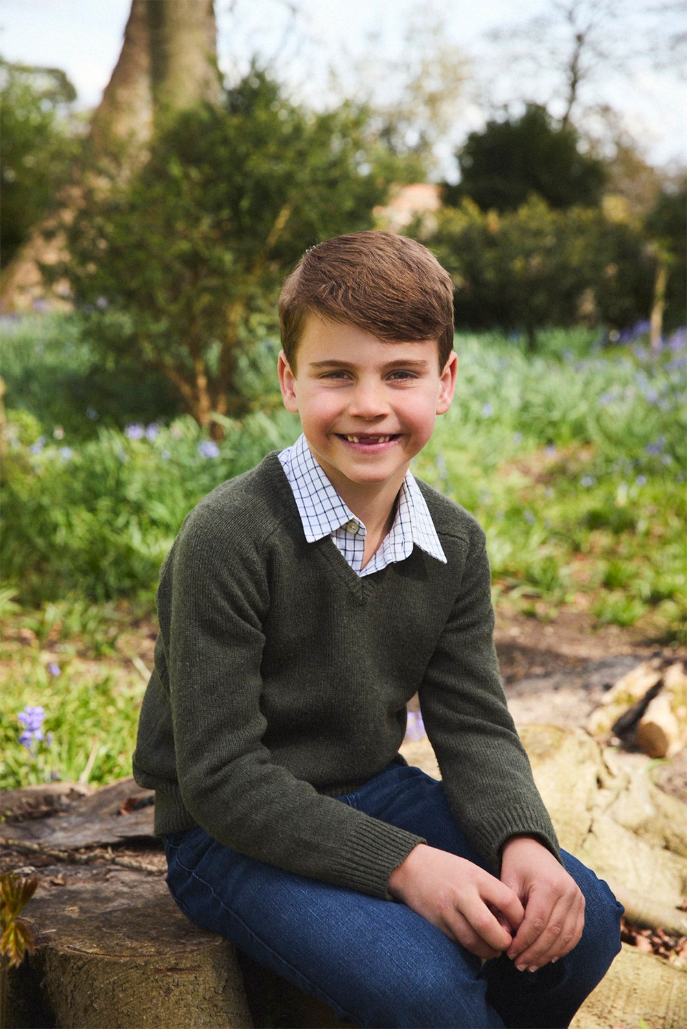 Prince Louis' Birthday Picture
