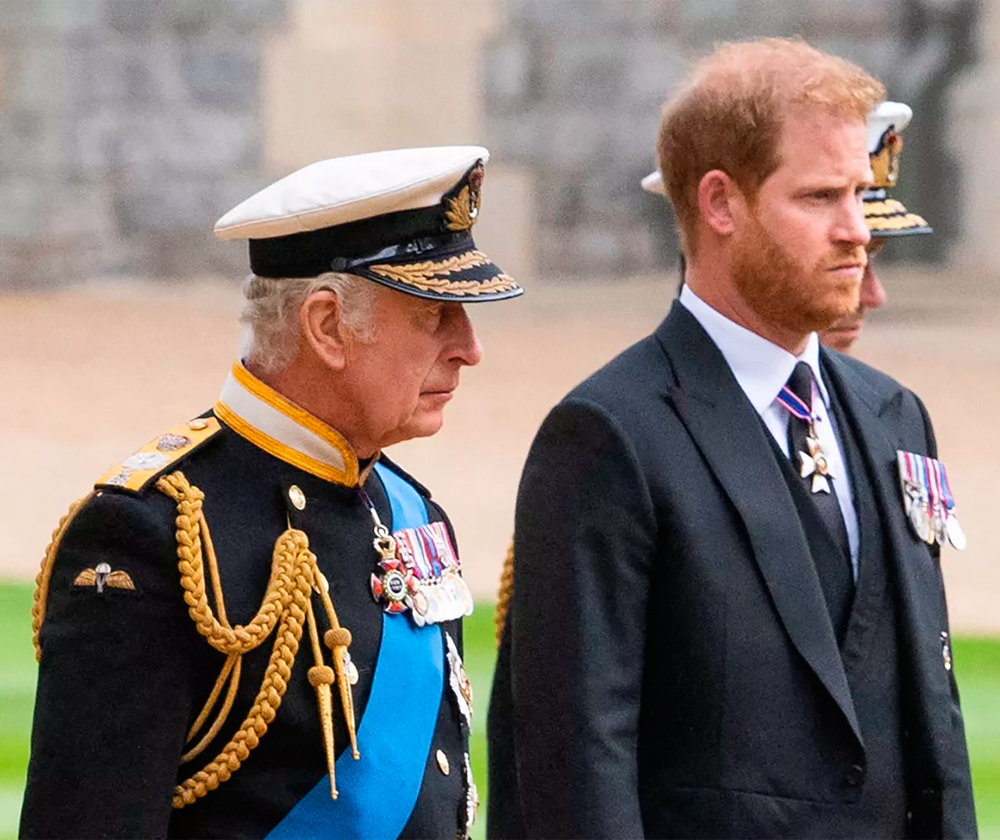 King Charles and Prince Harry
