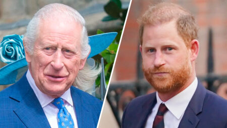 King Charles and Prince Harry