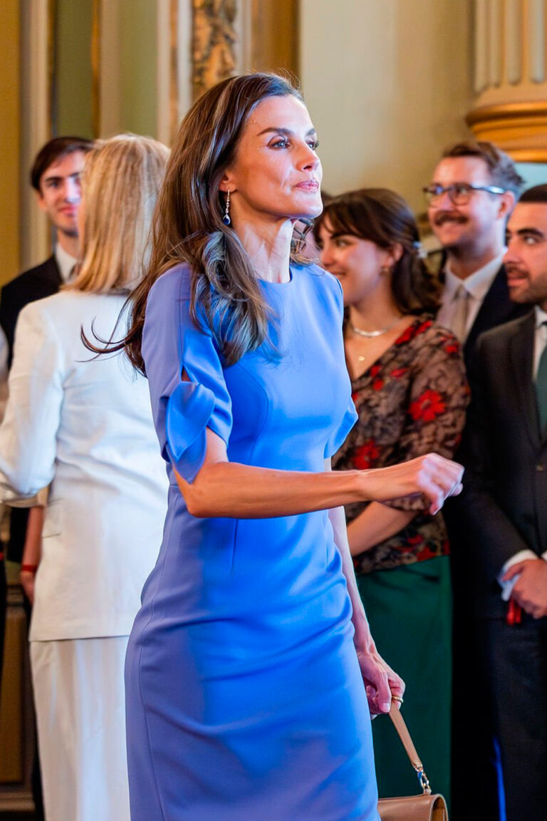 Queen Letizia Stuns in Violet Carolina Herrera Dress on Her Visit to Belgium Queen Letizia's Style in Belgium