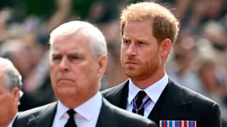 Prince Harry and Prince Andrew