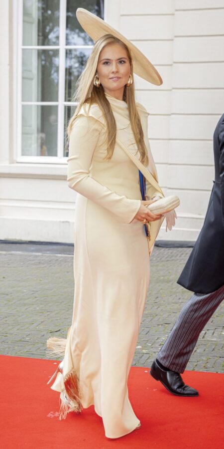 Elegant Dress Outfit Ideas: Princess Amalia’s Sophisticated Yellow Ensemble » Pin Posts