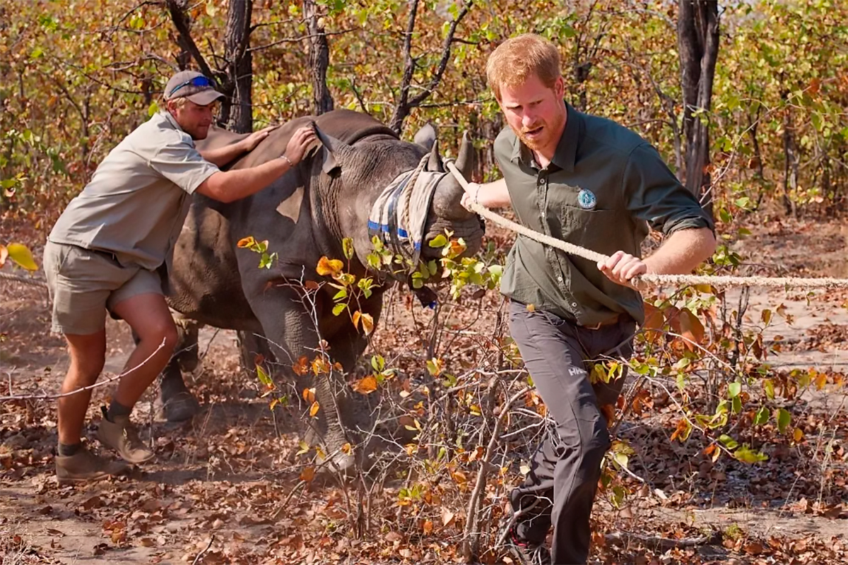 had ends its 15-year deal with African Parks