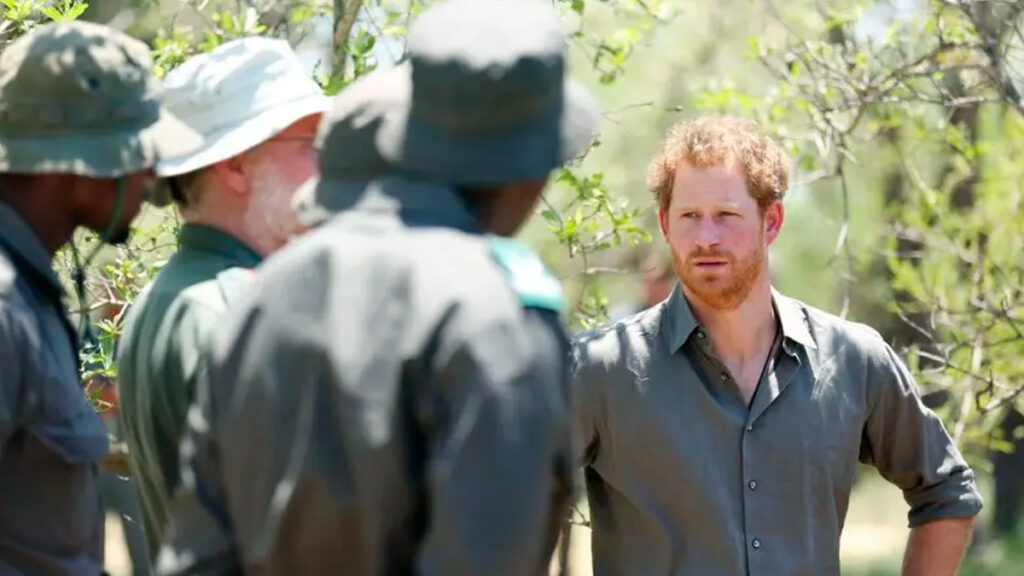 Prince Harry chad charity