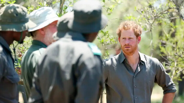 Prince Harry’s Charity Faces Major Blow as Chad Ends Conservation Partnership Prince Harry chad charity