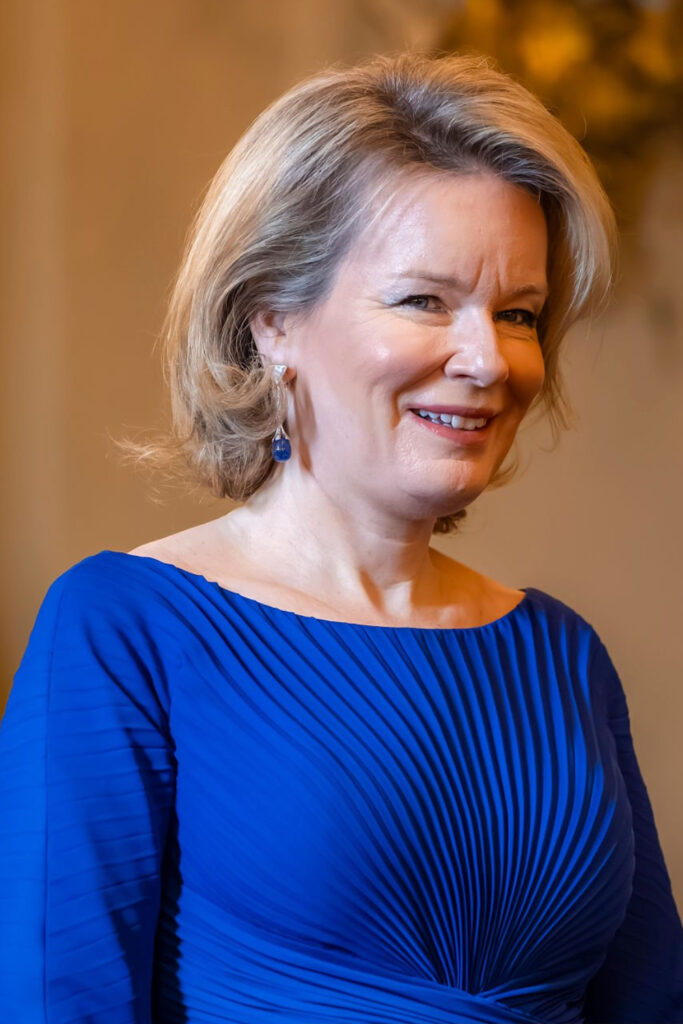Queen Mathilde's Blue Armani Look at New Year's Reception