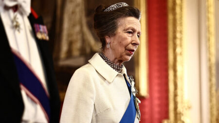 Princess Anne Pulls a 1969 Coat From Her Closet for the Windsor Gala for Nigeria’s President Princess Anne's Style at the State Banquet