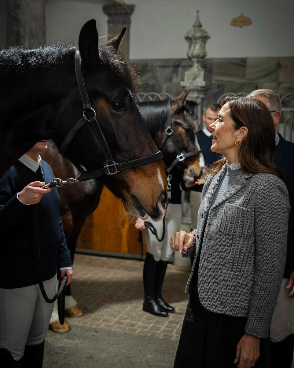 Queen Mary Welcomes New Royal Horses to Christiansborg Palace Queen Mary Welcomes New Royal Horses to Christiansborg Palace