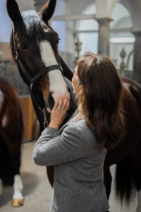 Queen Mary Welcomes New Royal Horses to Christiansborg Palace Queen Mary Welcomes New Royal Horses to Christiansborg Palace